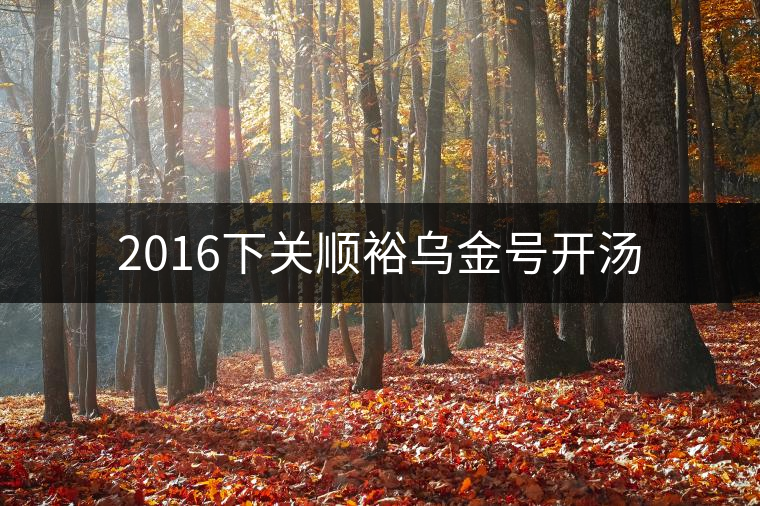 2016下關(guān)順裕烏金號開湯 2016下關(guān)順裕烏金號開湯