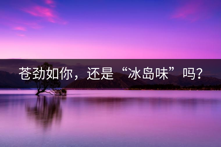 蒼勁如你，還是“冰島味”嗎？