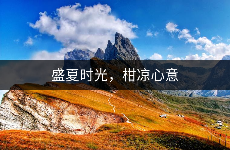 盛夏時光，柑涼心意