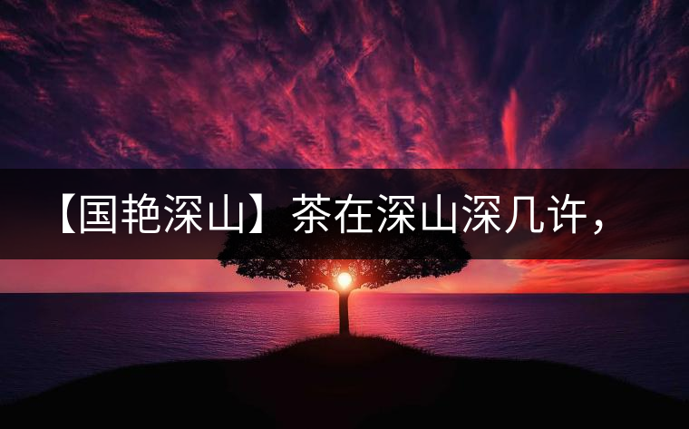 【國艷深山】茶在深山深幾許，布朗味釅釅幾分！