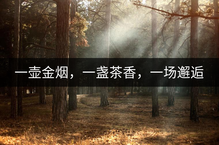 一壺金煙，一盞茶香，一場(chǎng)邂逅