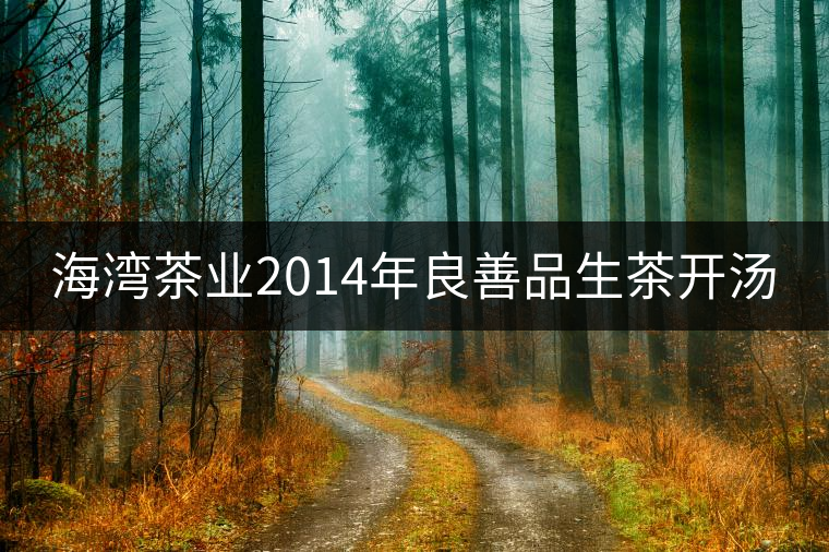 海灣茶業(yè)2014年良善品生茶開湯