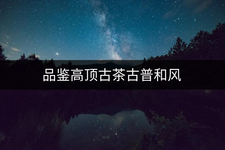 品鑒高頂古茶古普和風 品鑒高頂古茶古普和風