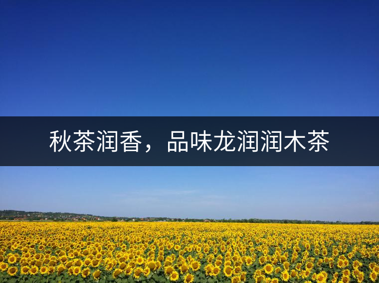 秋茶潤香，品味龍潤潤木茶