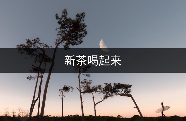 新茶喝起來(lái)