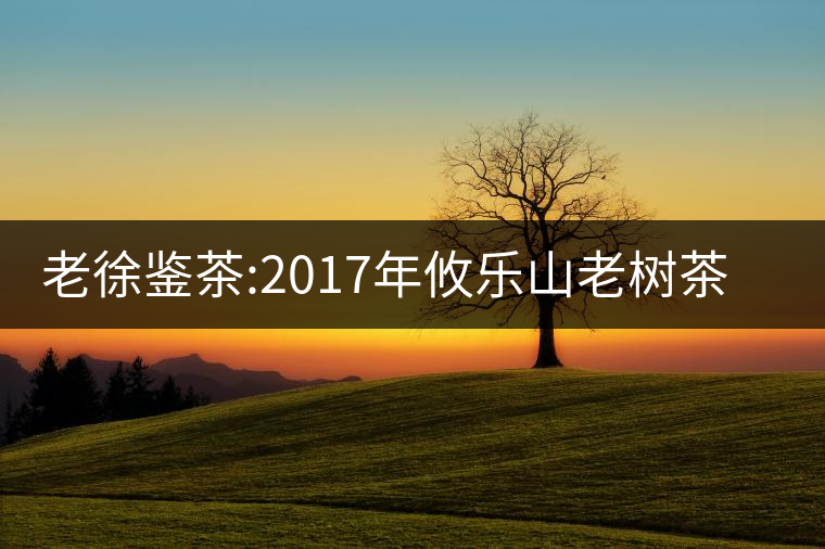 老徐鑒茶:2017年攸樂山老樹茶品鑒報(bào)告