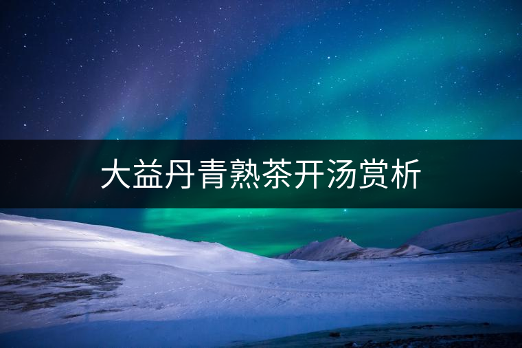 大益丹青熟茶開(kāi)湯賞析