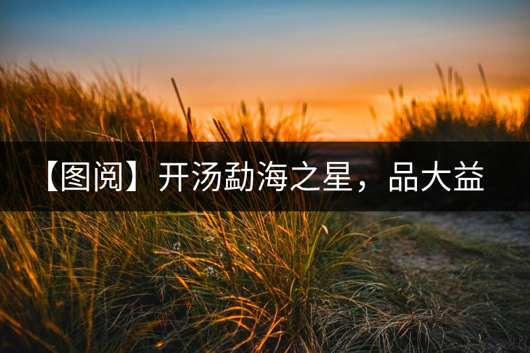 【圖閱】開湯勐海之星，品大益熟茶滋味