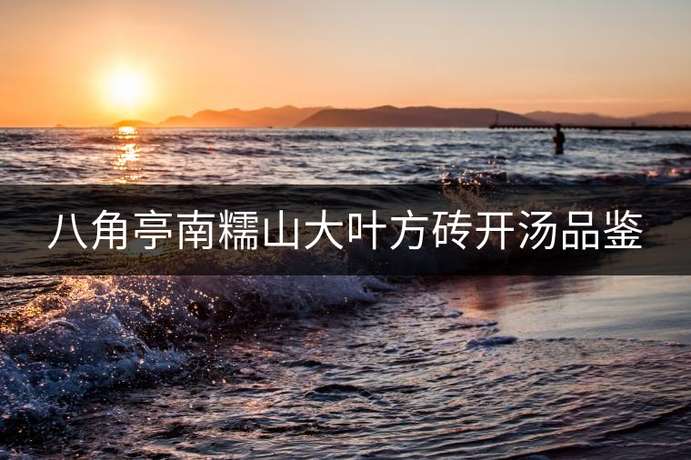 八角亭南糯山大葉方磚開湯品鑒 八角亭南糯山大葉方磚開湯品鑒