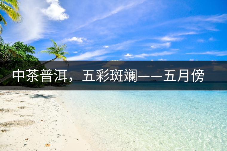 中茶普洱，五彩斑斕——五月傍晚，一道茶