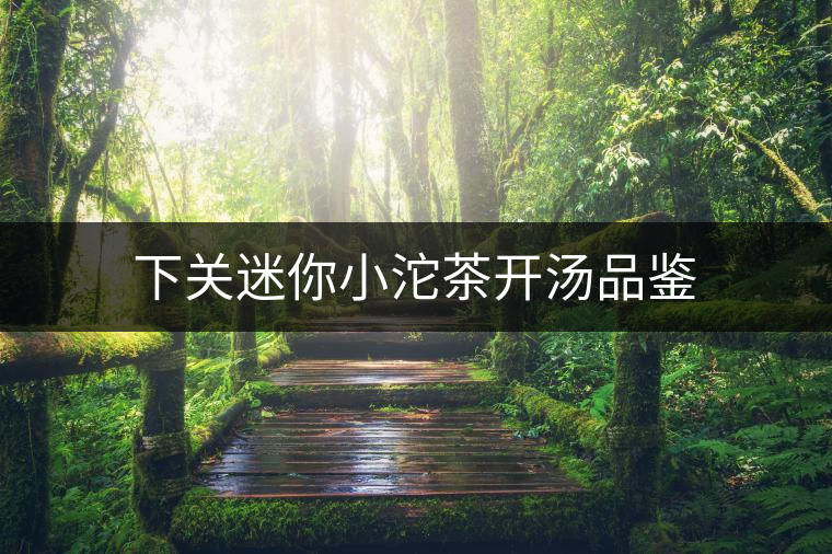 下關(guān)迷你小沱茶開湯品鑒 下關(guān)迷你小沱茶開湯品鑒