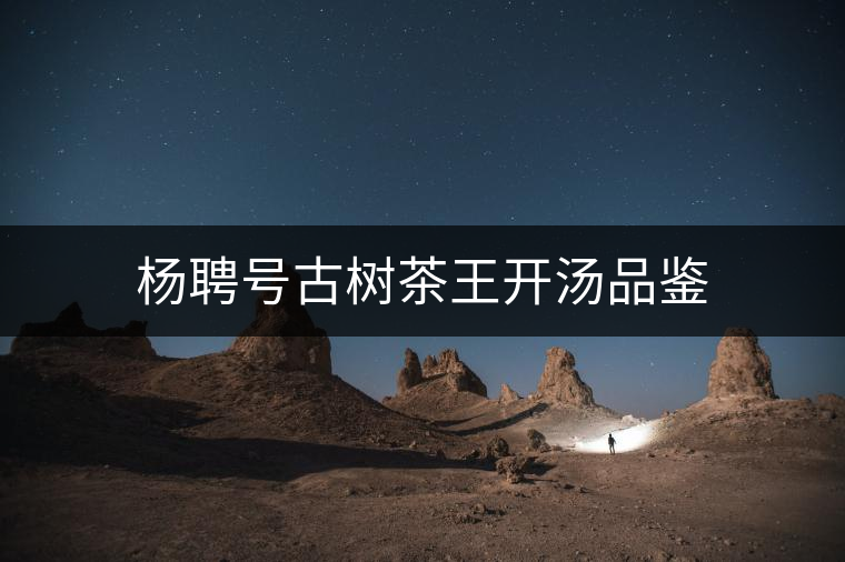 楊聘號(hào)古樹茶王開湯品鑒 楊聘號(hào)古樹茶王開湯品鑒