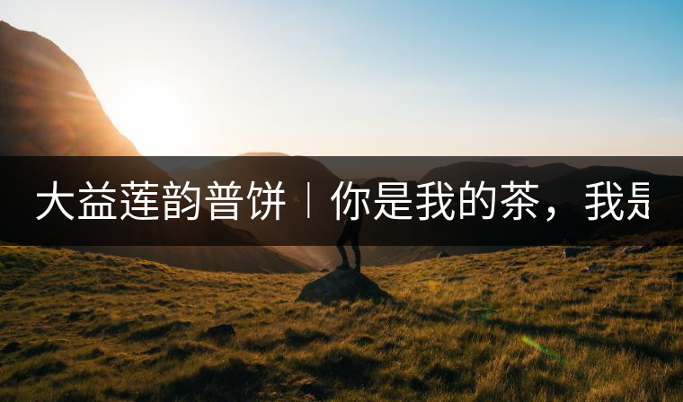 大益蓮韻普餅︱你是我的茶，我是你的人！