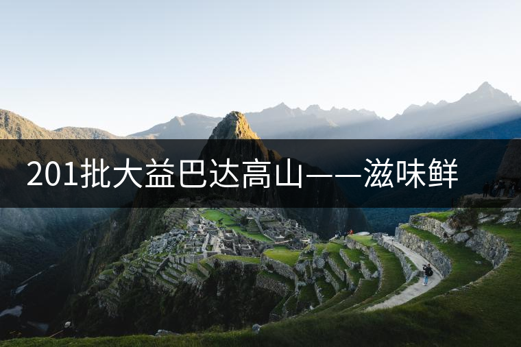 201批大益巴達(dá)高山——滋味鮮爽醇厚，回甘高而持久