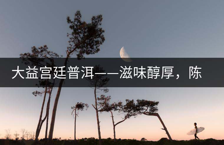 大益宮廷普洱——滋味醇厚，陳香濃郁