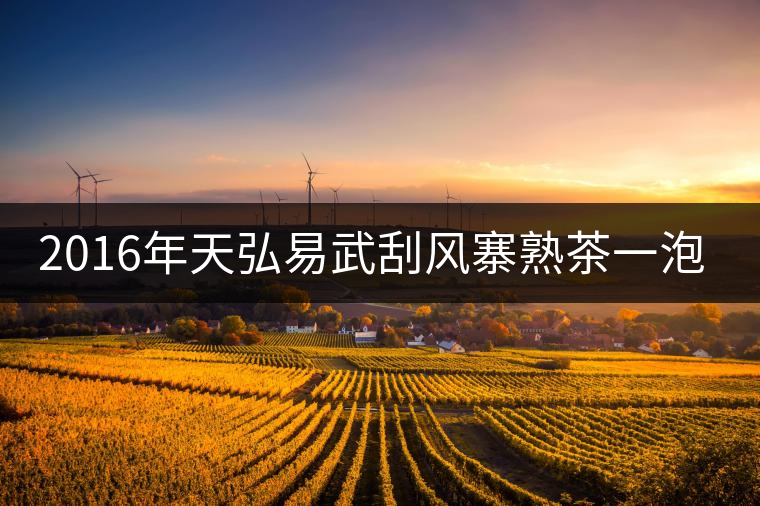 2016年天弘易武刮風(fēng)寨熟茶一泡耐人尋味！