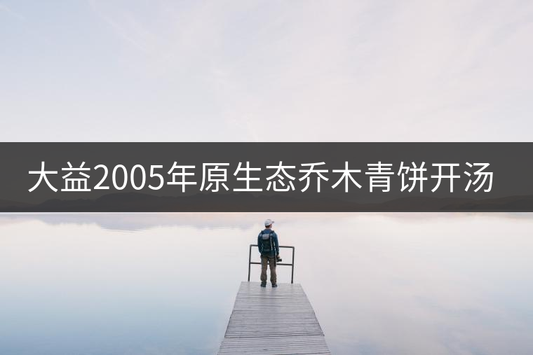 大益2005年原生態(tài)喬木青餅開(kāi)湯品鑒 大益2005年原生態(tài)喬木青餅開(kāi)湯品鑒