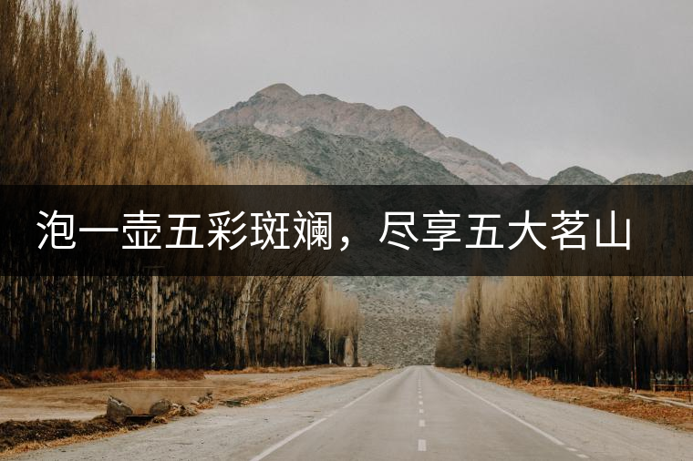 泡一壺五彩斑斕，盡享五大茗山之味