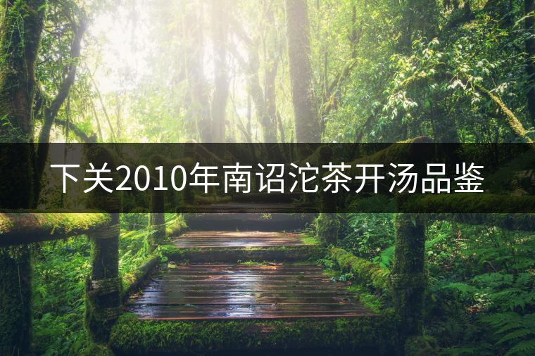 下關2010年南詔沱茶開湯品鑒 下關2010年南詔沱茶開湯品鑒