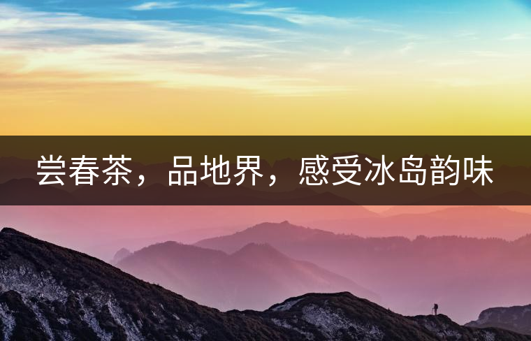 嘗春茶，品地界，感受冰島韻味