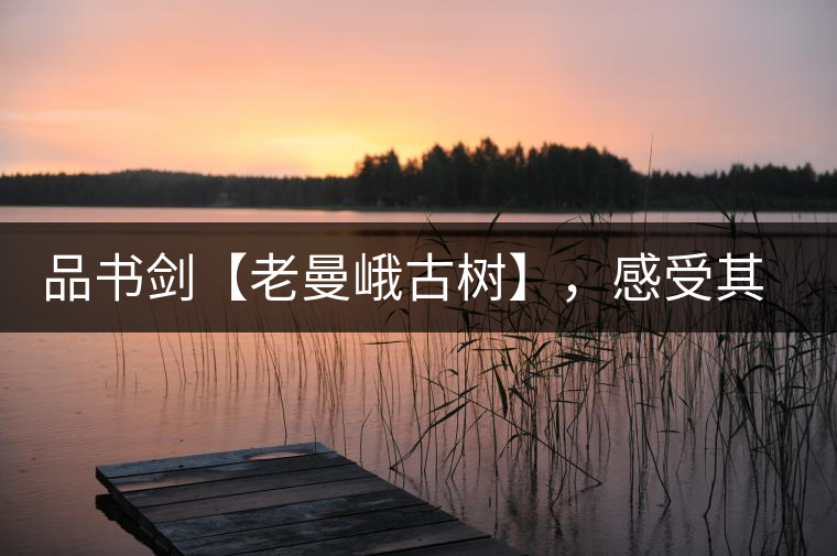 品書劍【老曼峨古樹】，感受其霸道苦韻