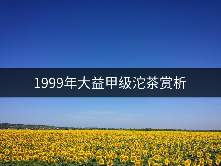 1999年大益甲級(jí)沱茶賞析 1999年大益甲級(jí)沱茶賞析