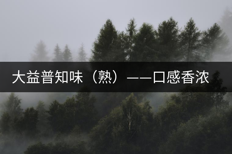 大益普知味（熟）——口感香濃，陳香味足