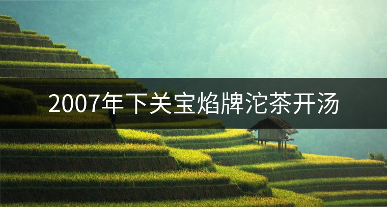 2007年下關(guān)寶焰牌沱茶開(kāi)湯 2007年下關(guān)寶焰牌沱茶開(kāi)湯