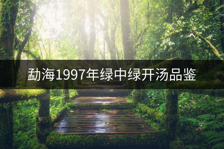 勐海1997年綠中綠開湯品鑒 勐海1997年綠中綠開湯品鑒