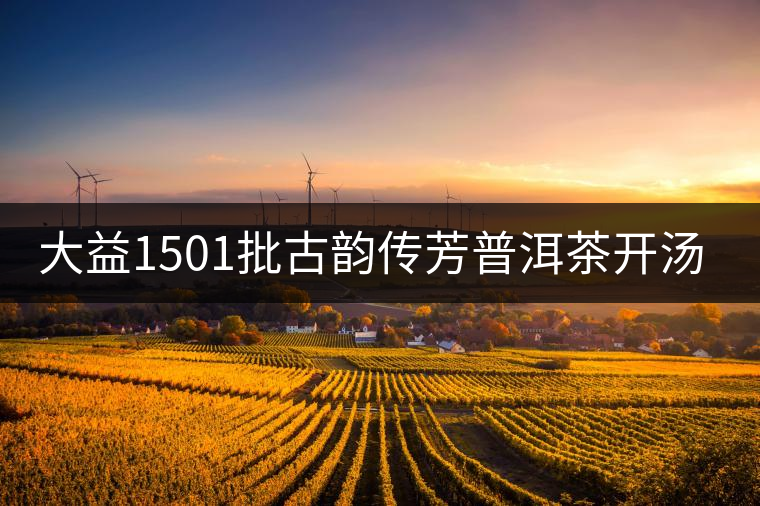 大益1501批古韻傳芳普洱茶開湯品鑒