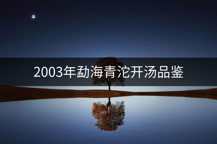 2003年勐海青沱開湯品鑒 2003年勐海青沱開湯品鑒