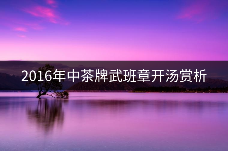 2016年中茶牌武班章開湯賞析 2016年中茶牌武班章開湯賞析