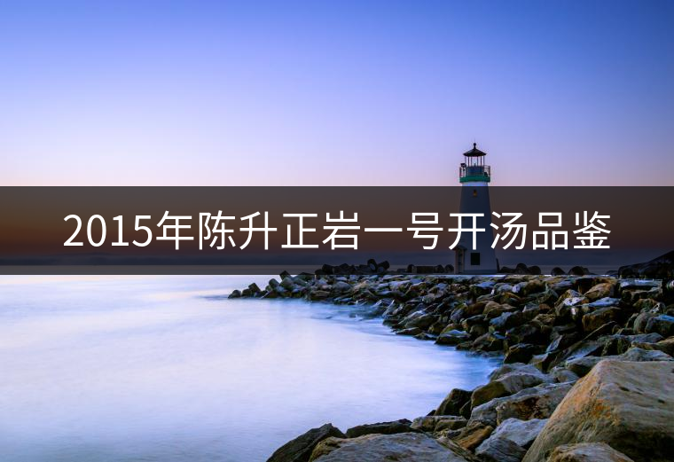 2015年陳升正巖一號開湯品鑒