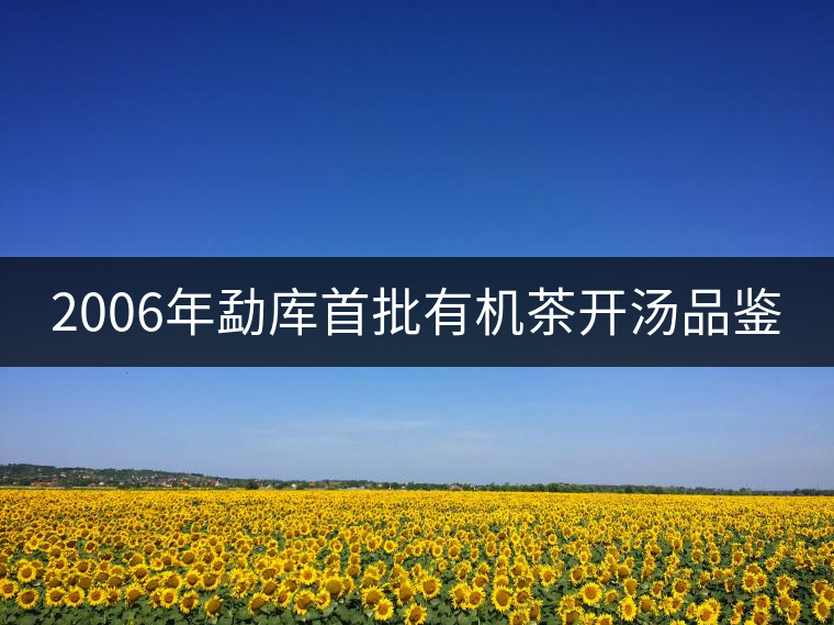 2006年勐庫首批有機茶開湯品鑒 2006年勐庫首批有機茶開湯品鑒
