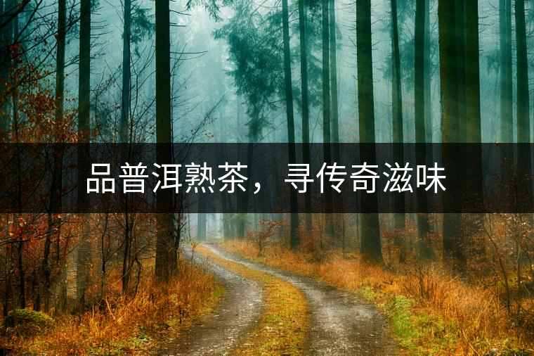 品普洱熟茶，尋傳奇滋味