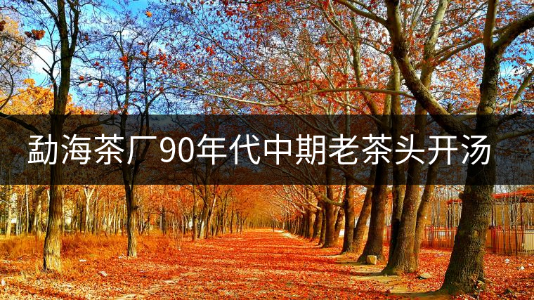 勐海茶廠90年代中期老茶頭開(kāi)湯品鑒