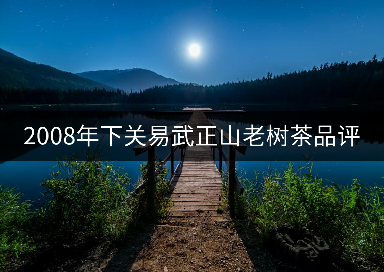 2008年下關易武正山老樹茶品評 2008年下關易武正山老樹茶品評