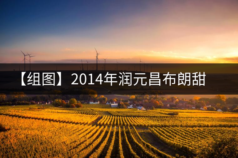 【組圖】2014年潤(rùn)元昌布朗甜茶開(kāi)湯