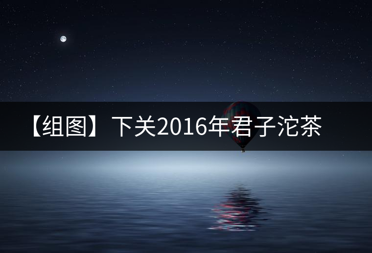 【組圖】下關(guān)2016年君子沱茶(易武)開(kāi)湯 【組圖】下關(guān)2016年君子沱茶(易武)開(kāi)湯