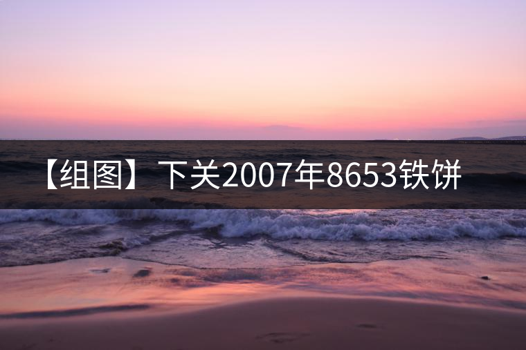 【組圖】下關2007年8653鐵餅開湯