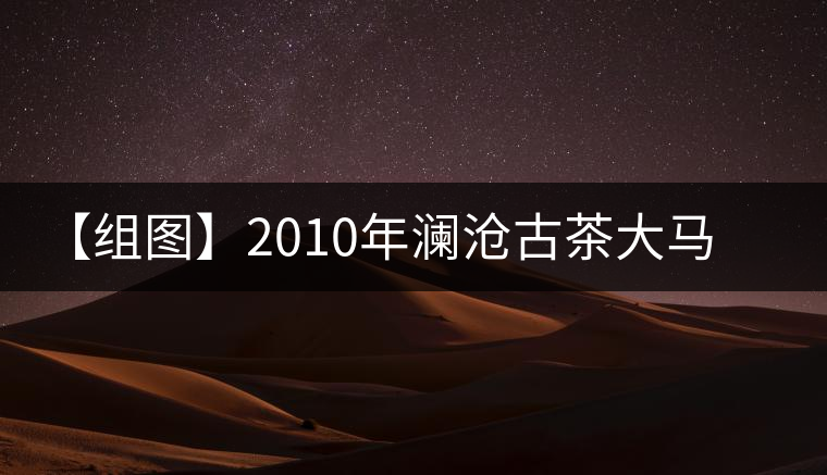 【組圖】2010年瀾滄古茶大馬幫千家寨開湯