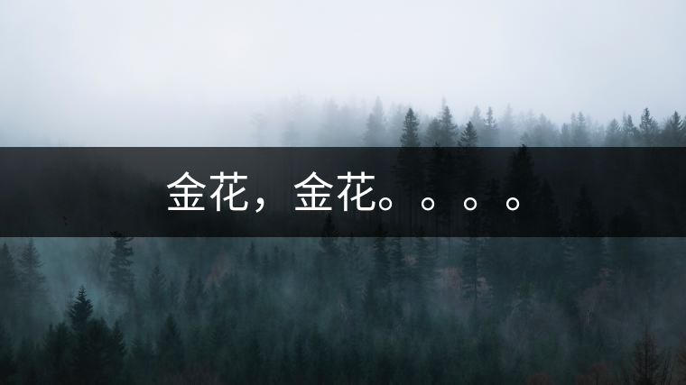 金花，金花。。。。