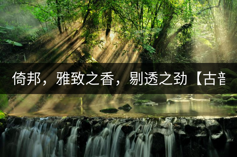 倚邦，雅致之香，剔透之勁【古普十二山品鑒】