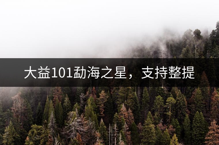 大益101勐海之星，支持整提