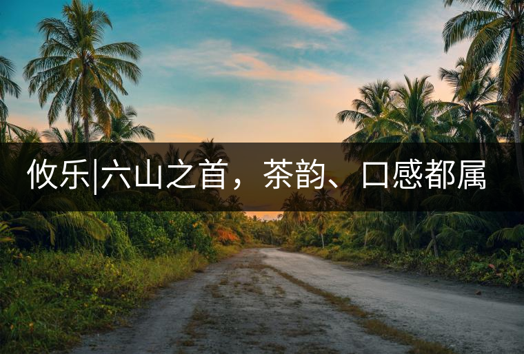 攸樂|六山之首，茶韻、口感都屬古六山一系