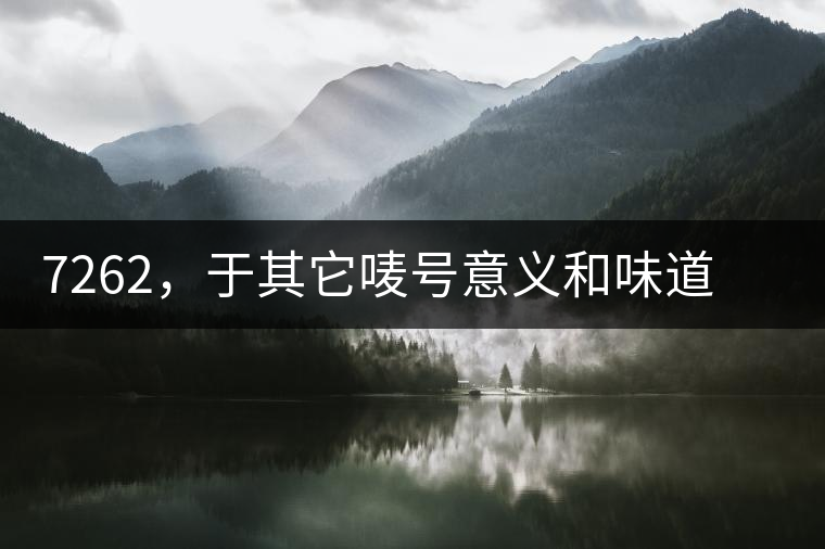 7262，于其它嘜號意義和味道都不一樣的大益高等級熟餅