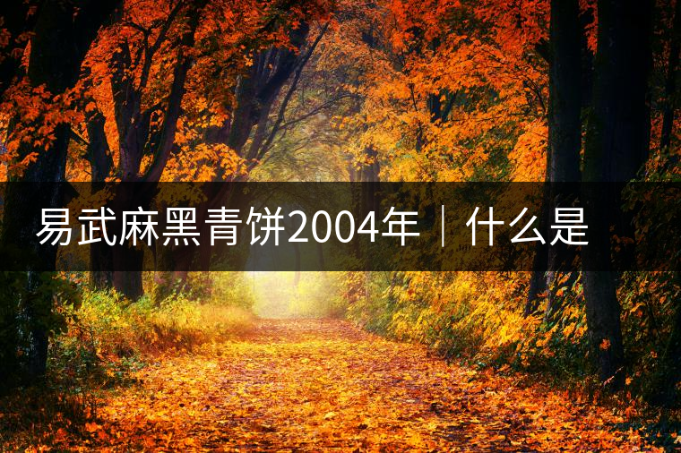 易武麻黑青餅2004年｜什么是中期普洱茶的滋味