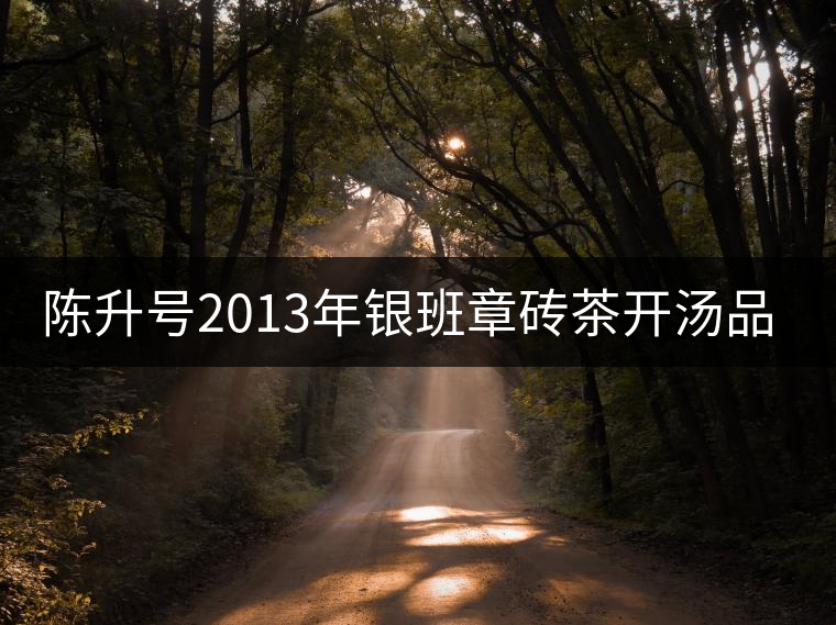 陳升號(hào)2013年銀班章磚茶開湯品鑒