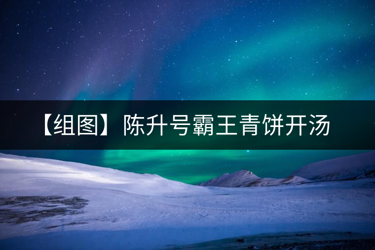 【組圖】陳升號霸王青餅開湯