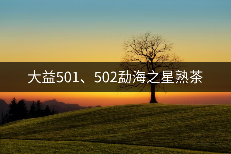 大益501、502勐海之星熟茶